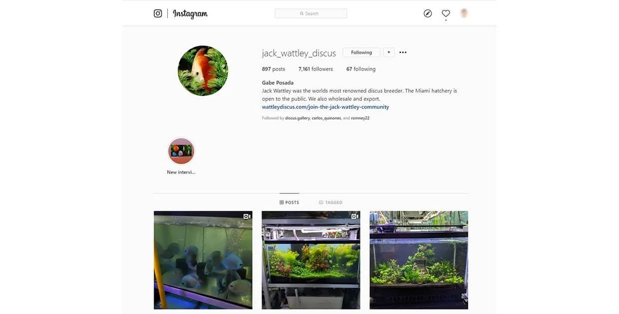 Jack Wattley Instagram Page