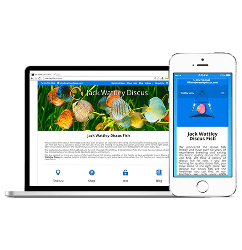 responsive website design local view