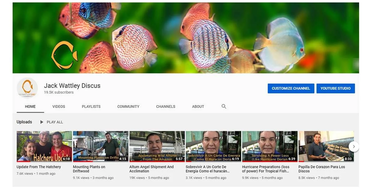Jack Wattley Youtube channel